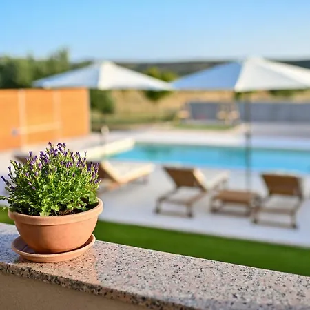 Family Friendly House With A Swimming Pool Vrana, Biograd - 21828 Feriehus Pakoštane